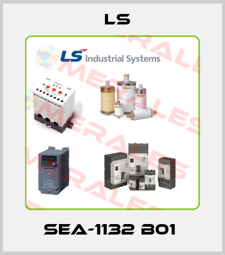 SEA-1132 B01  LS