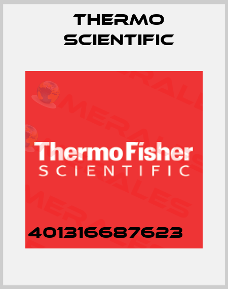 401316687623    Thermo Scientific