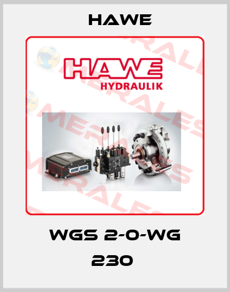 WGS 2-0-WG 230  Hawe