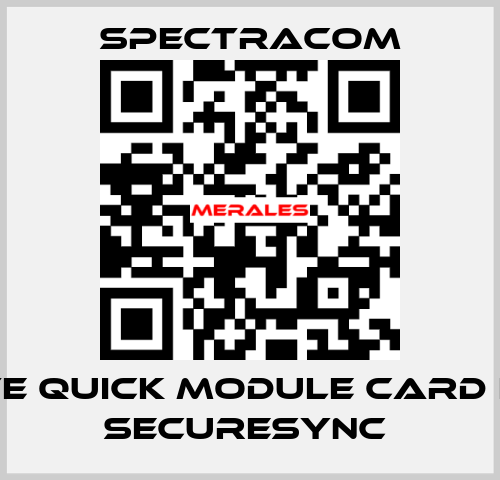 Have Quick module card for SECURESYNC  SPECTRACOM