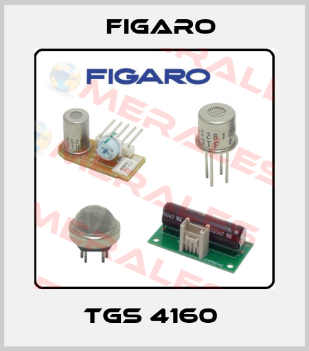 TGS 4160  Figaro