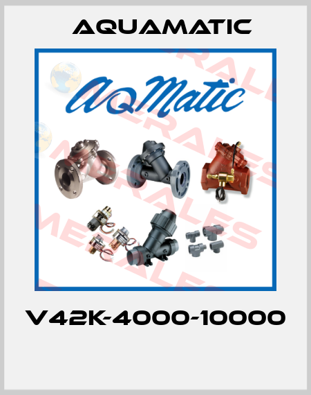 V42K-4000-10000  AquaMatic