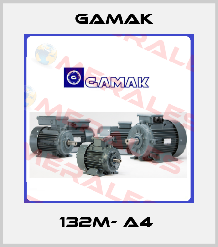 132M- A4  Gamak