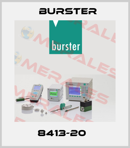 8413-20   Burster