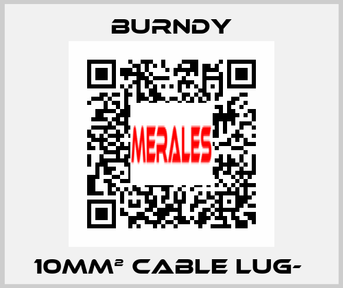 10mm² cable lug-  Burndy