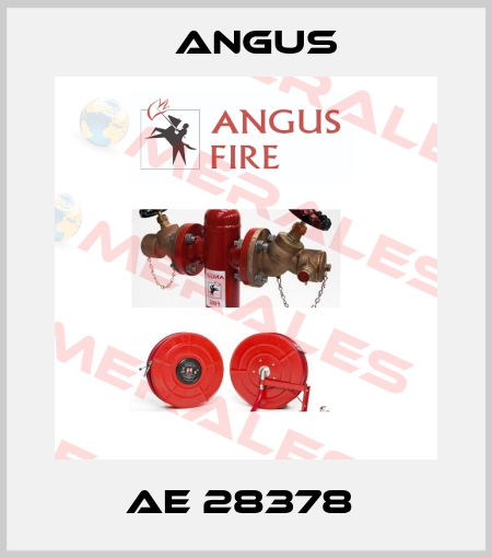 AE 28378  Angus