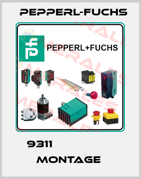 9311                   Montage  Pepperl-Fuchs