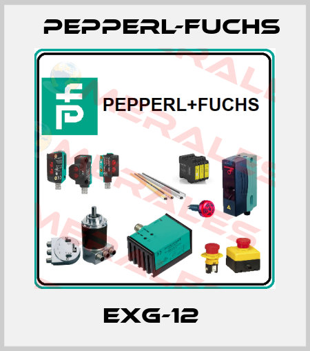 EXG-12  Pepperl-Fuchs