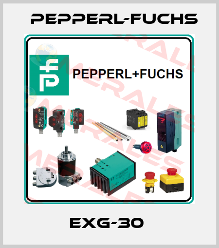 EXG-30  Pepperl-Fuchs