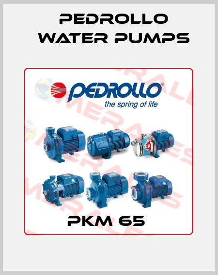 PKm 65  Pedrollo Water Pumps