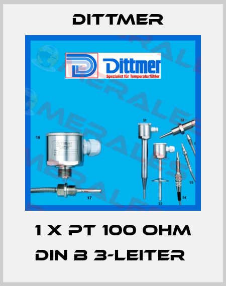 1 x PT 100 Ohm DIN B 3-Leiter  Dittmer