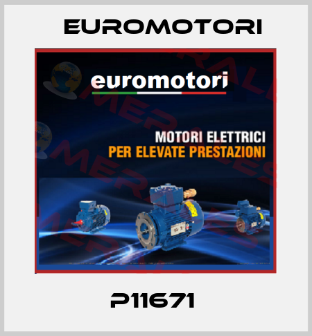 P11671  Euromotori