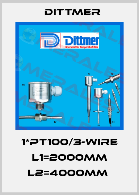 1*PT100/3-WIRE L1=2000mm L2=4000mm  Dittmer