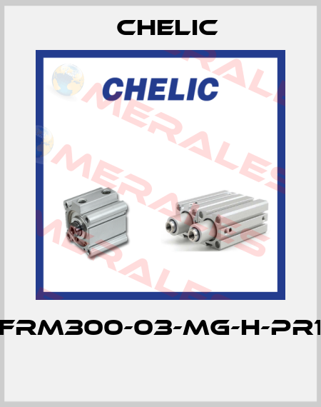 NFRM300-03-MG-H-PR10  Chelic