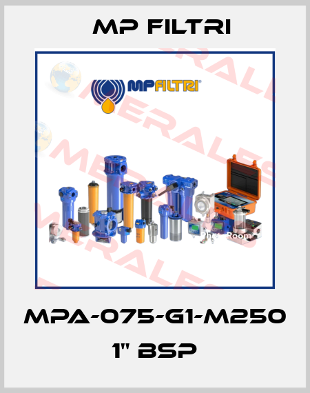 MPA-075-G1-M250   1" BSP MP Filtri