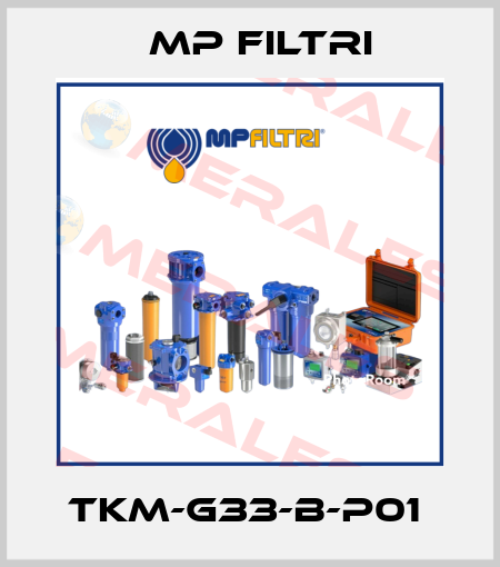 TKM-G33-B-P01  MP Filtri