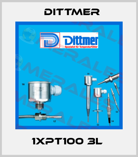 1XPT100 3L  Dittmer