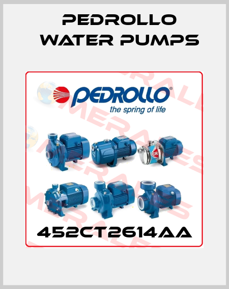 452CT2614AA Pedrollo Water Pumps
