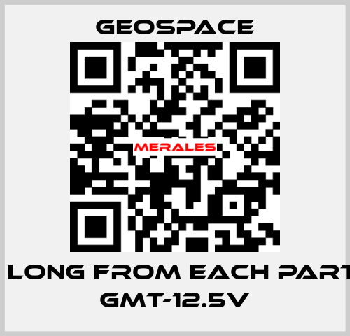 2,7 M LONG FROM EACH PARTY OF GMT-12.5V GeoSpace