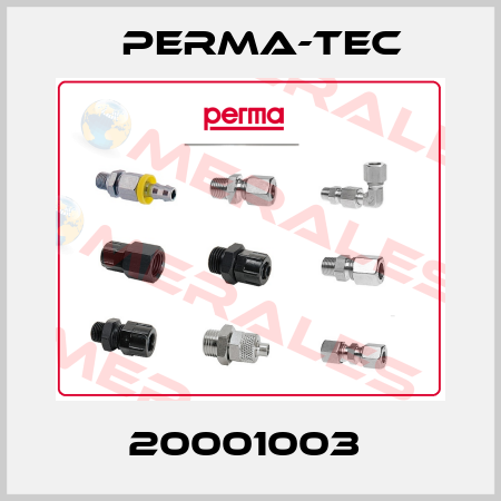 20001003  PERMA-TEC