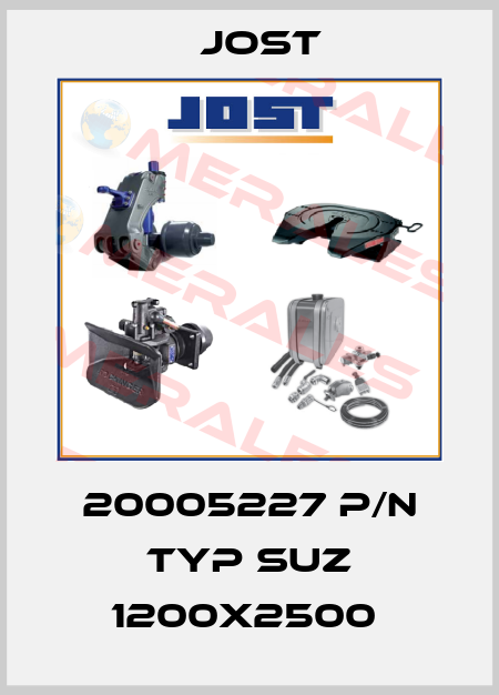 20005227 P/N TYP SUZ 1200X2500  Jost