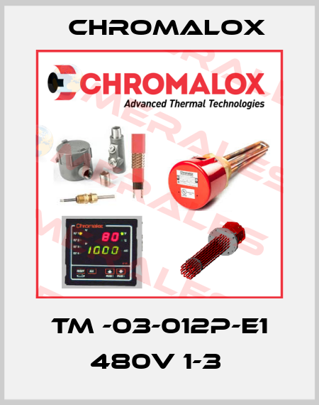 TM -03-012P-E1 480V 1-3  Chromalox