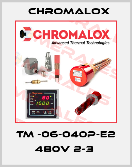 TM -06-040P-E2 480V 2-3  Chromalox