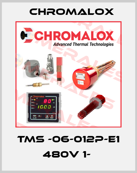 TMS -06-012P-E1 480V 1-  Chromalox