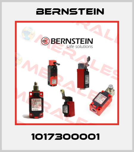 1017300001  Bernstein
