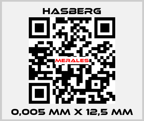 0,005 MM X 12,5 MM  Hasberg