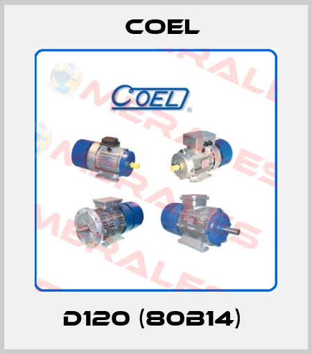 D120 (80B14)  Coel