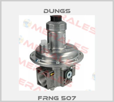 FRNG 507 Dungs