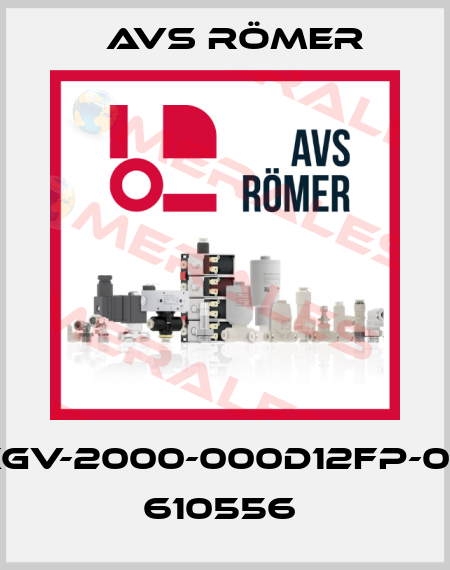 XGV-2000-000D12FP-04 610556  Avs Römer