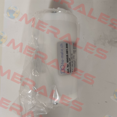 00025.001.000 Ho-Matic AG