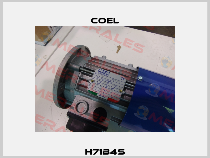 H71B4S Coel
