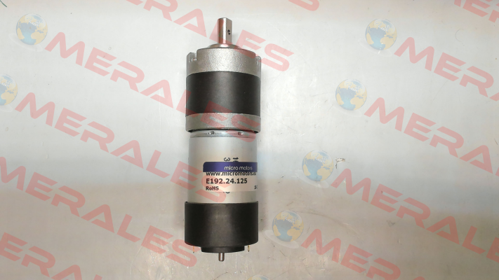 E192.24.125 Micro Motors