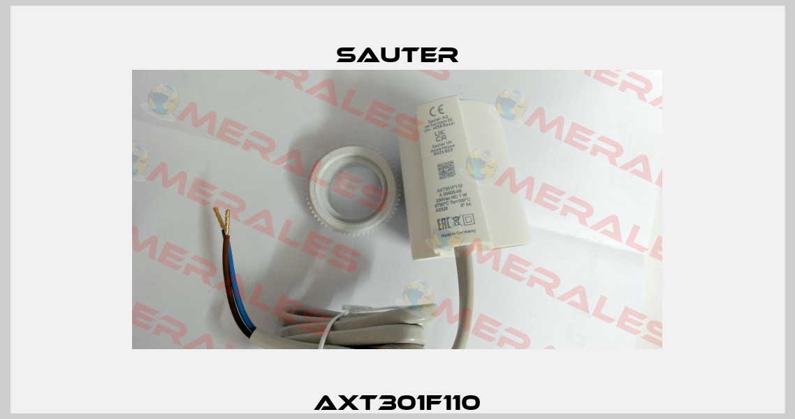AXT301F110 Sauter
