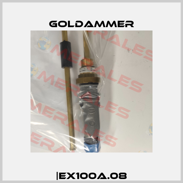 |EX100A.08 Goldammer