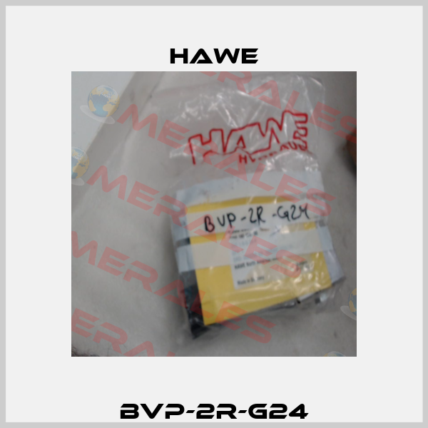 BVP-2R-G24 Hawe