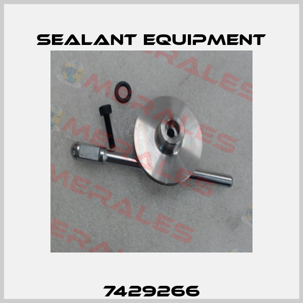 7429266 Sealant Equipment