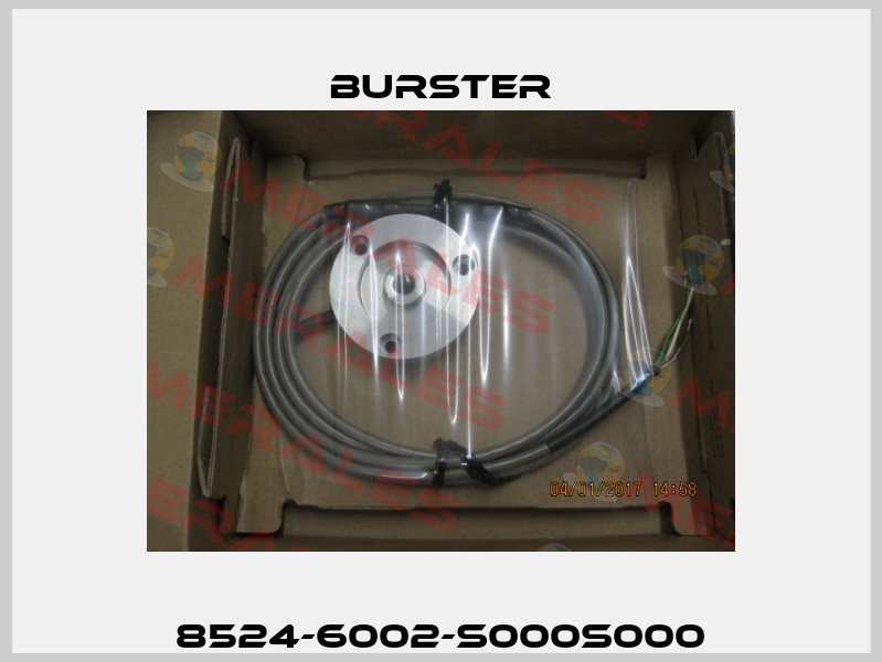 8524-6002-S000S000 Burster