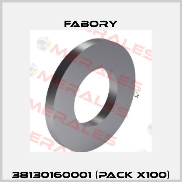 38130160001 (pack x100) Fabory