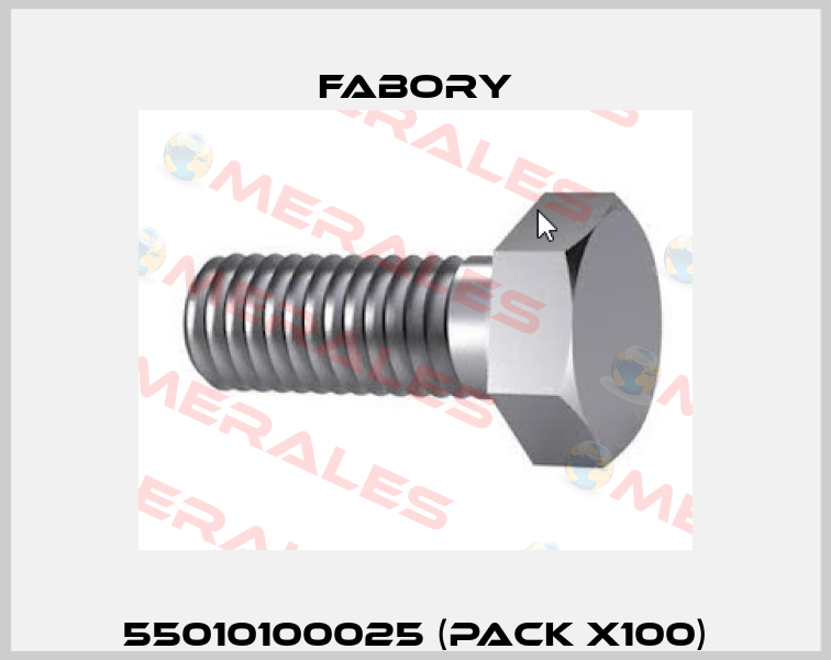 55010100025 (pack x100) Fabory