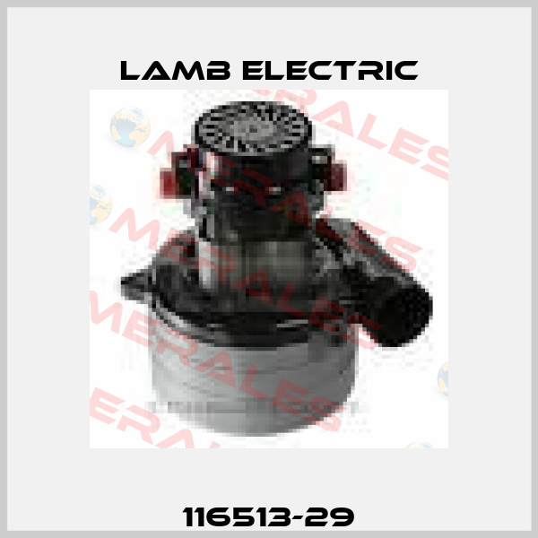 116513-29 Lamb Electric