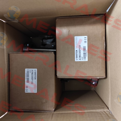 AVM234SF132 Sauter