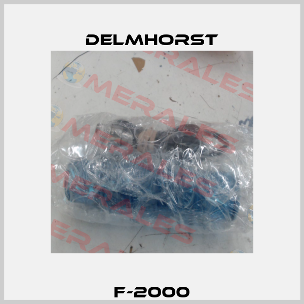 F-2000 Delmhorst