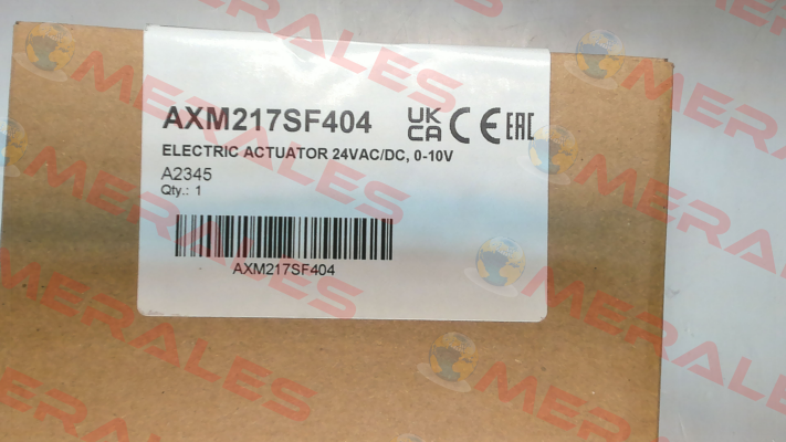 AXM217SF404 Sauter