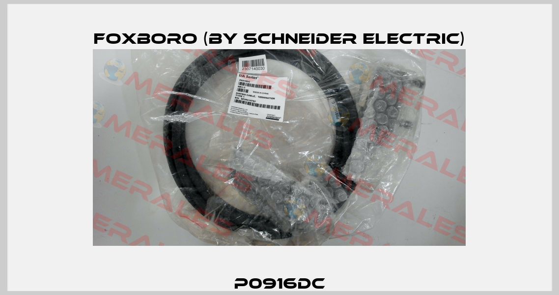P0916DC Foxboro (by Schneider Electric)