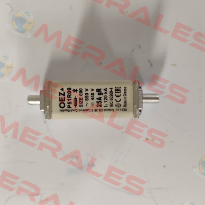 06636     P51R06 25A gR OEZ