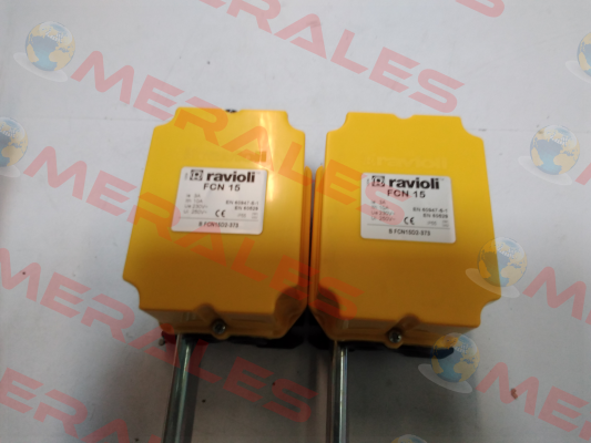 BFCN15D2-373 Ravioli
